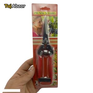 قیچی میوه چینی