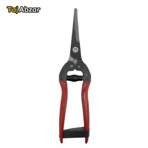 قیچی میوه چینی Pruning Scissors