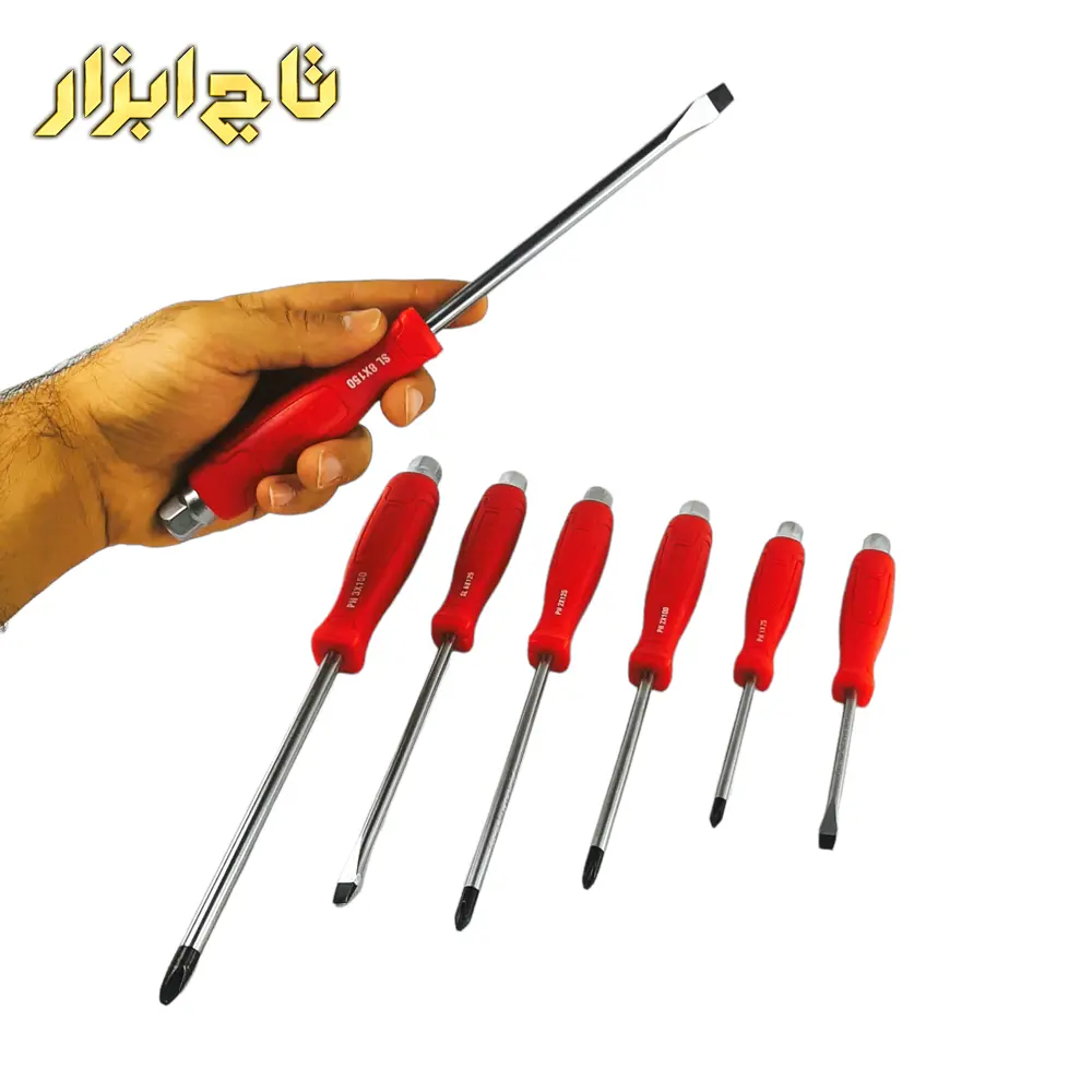 ست پیچ گوشتی ضربه خور رونیکس RH-2910