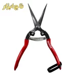 نمای باز قیچی میوه چینی 8 اینچ RH-3150