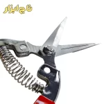نمای فنر قیچی میوه چینی 8 اینچ RH-3150